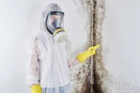 Best Basement Mold Removal  in Suncrest, WA